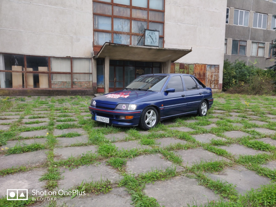 Трохи свіжих фото 5