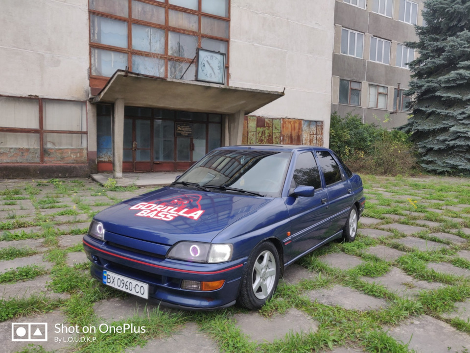 Трохи свіжих фото 2