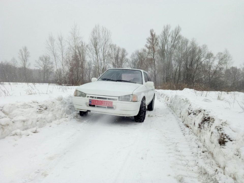 Прогулянка 4