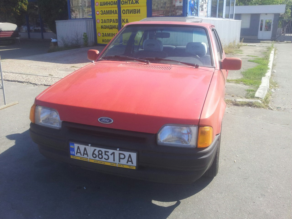 Чорні вуха))). 1