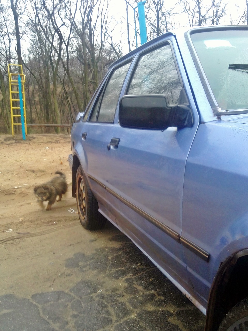 Несколько фоток 3