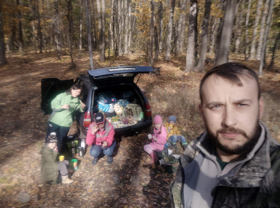 Поїздки лісами 1