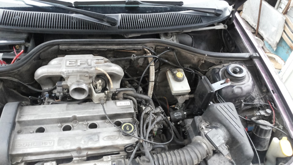 Газ на Escort 3