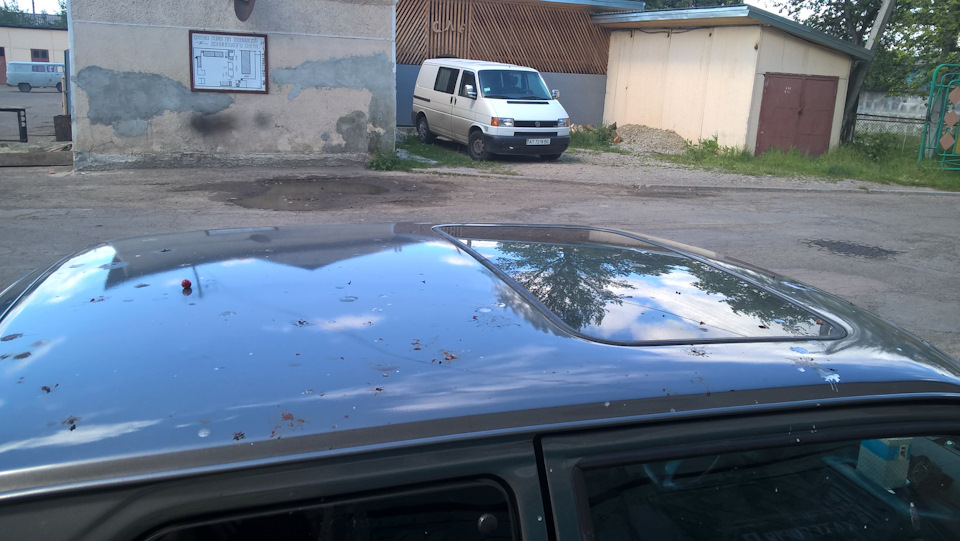 знайомство з природою 3