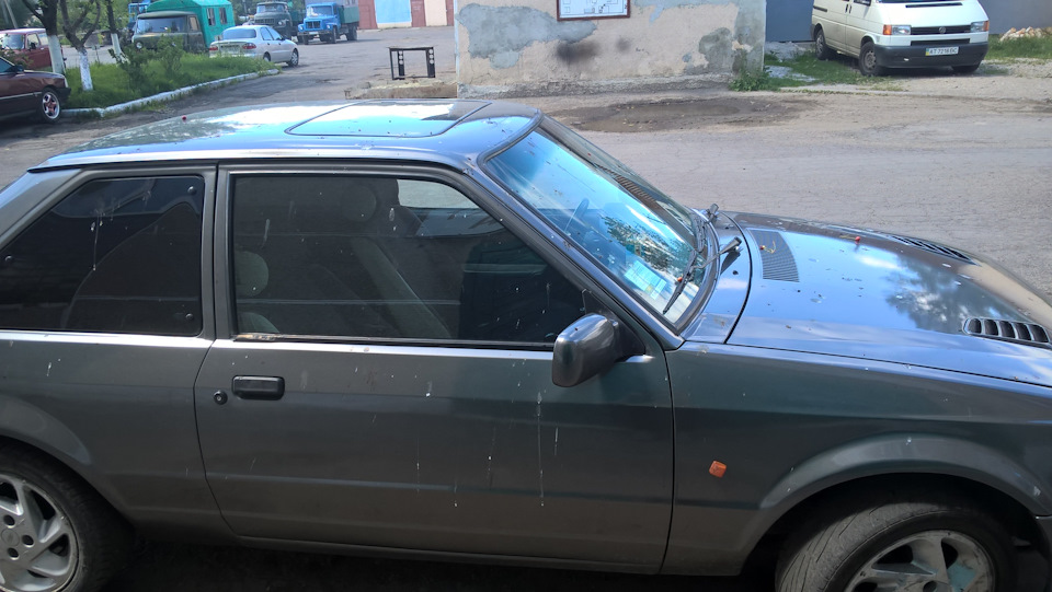 знайомство з природою 2