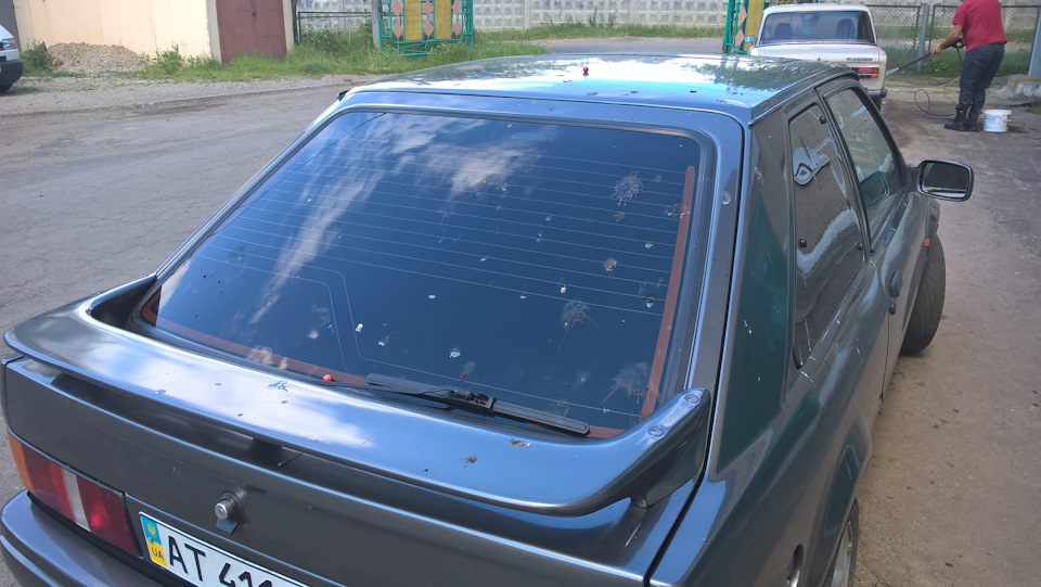 знайомство з природою 4