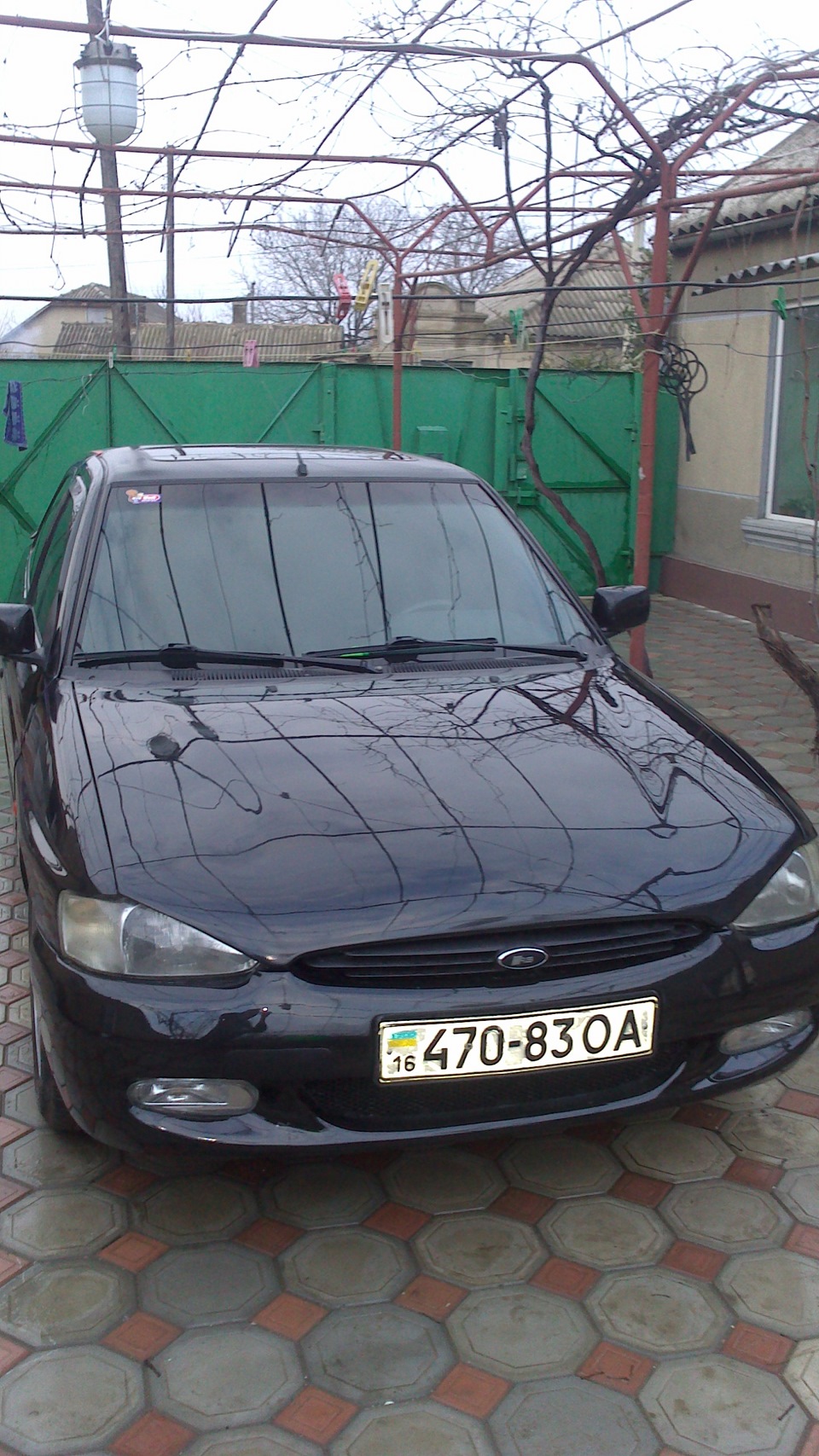 Знову в строю! 1