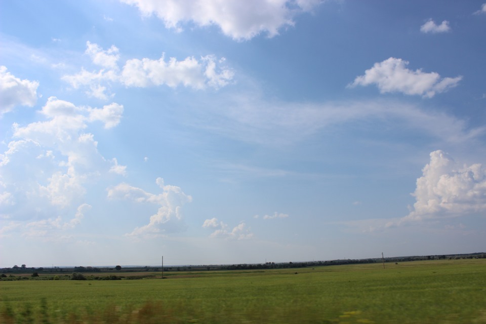 дорога, поле… 1