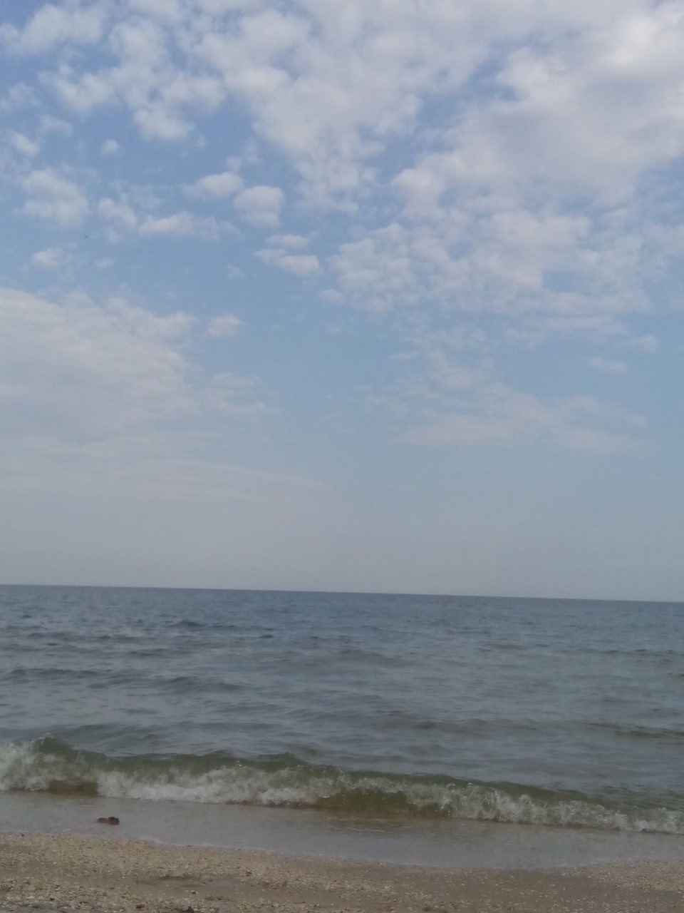 пару днів неробства)) 4