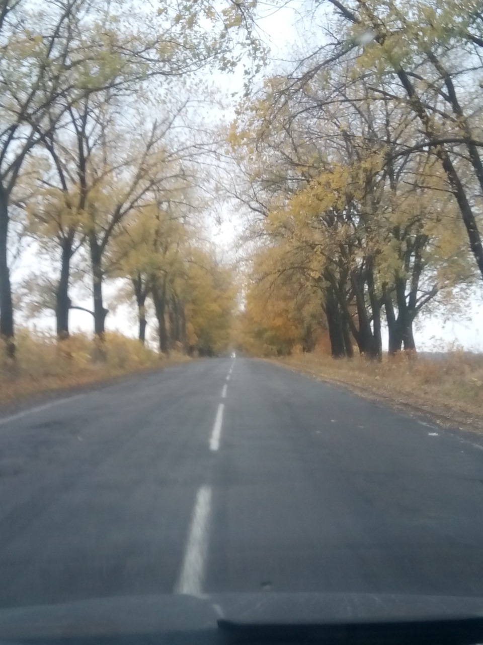 скоро розповім усі пригоди в подробицях 2