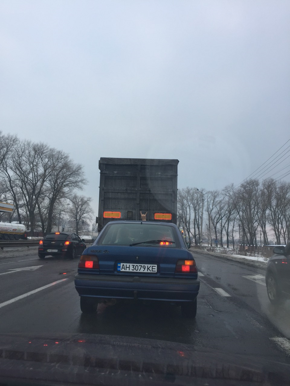 Не очікувано, не гадано або Раптове поповнення в сім'ї 4
