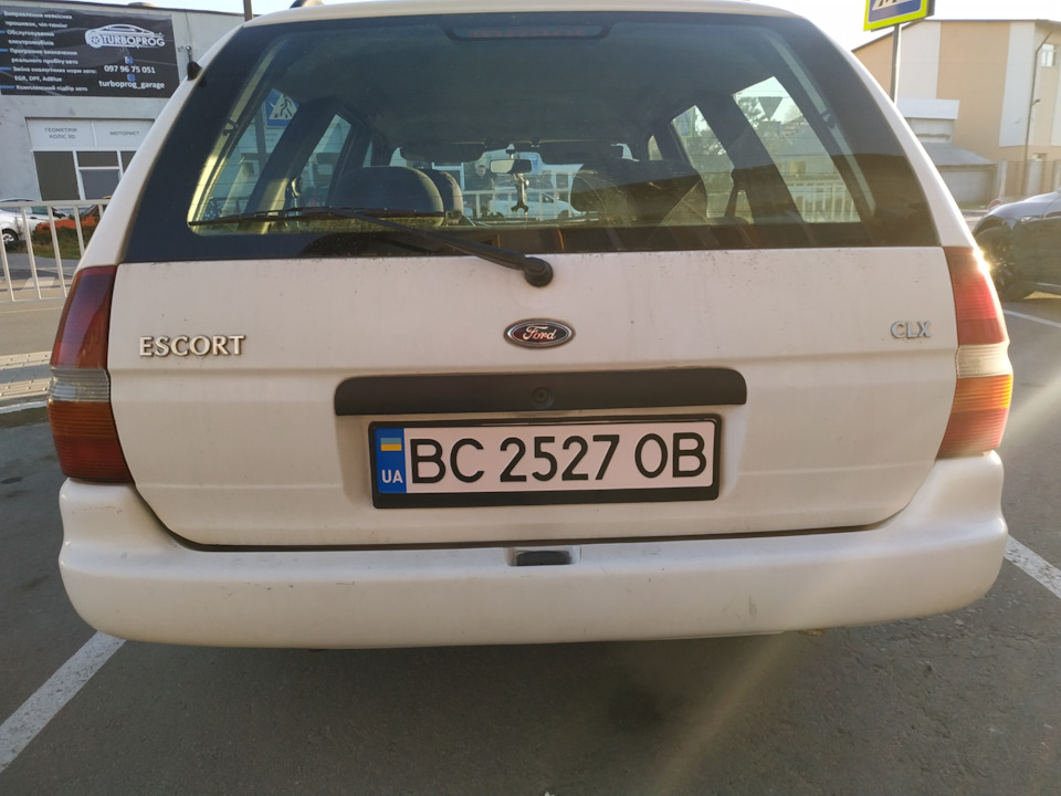 Розмитнив ескортика 2