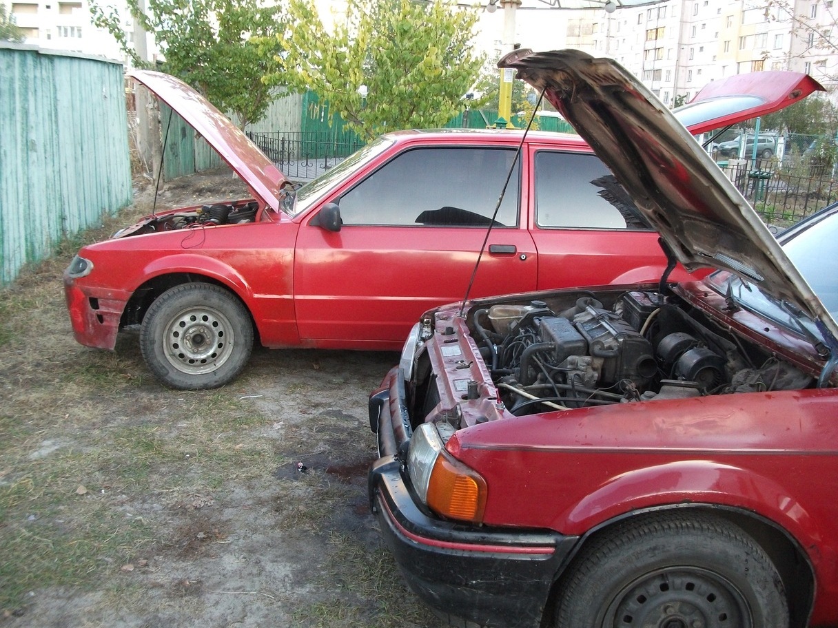 Нові фотки 5