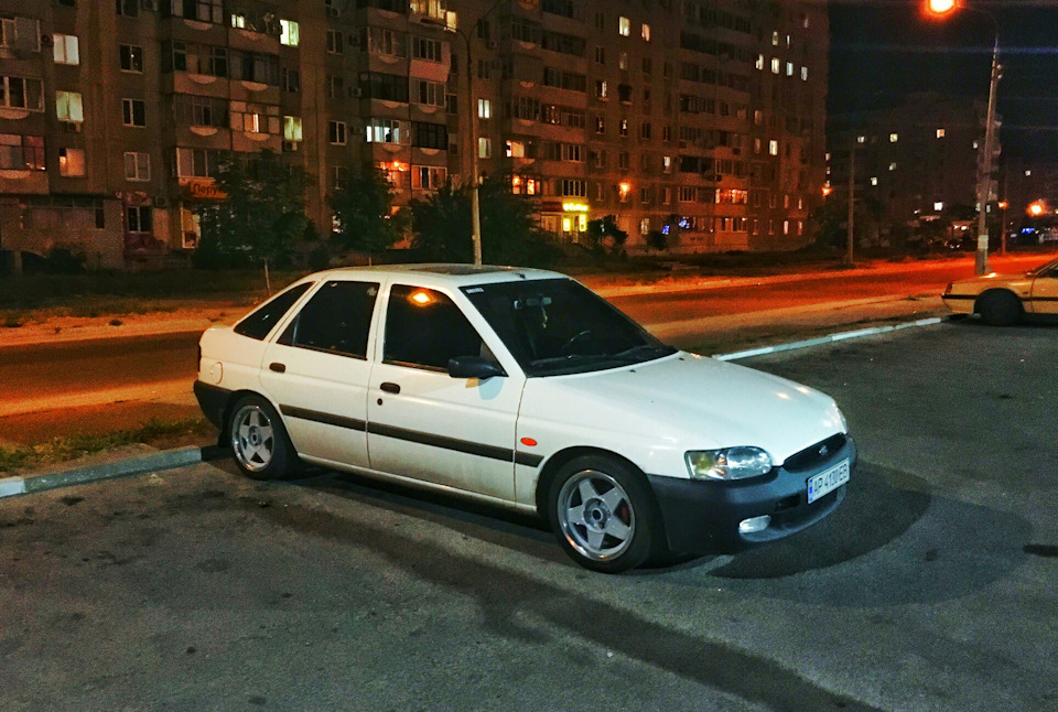 Гей, кицьки, у мене нові диски 😂 1