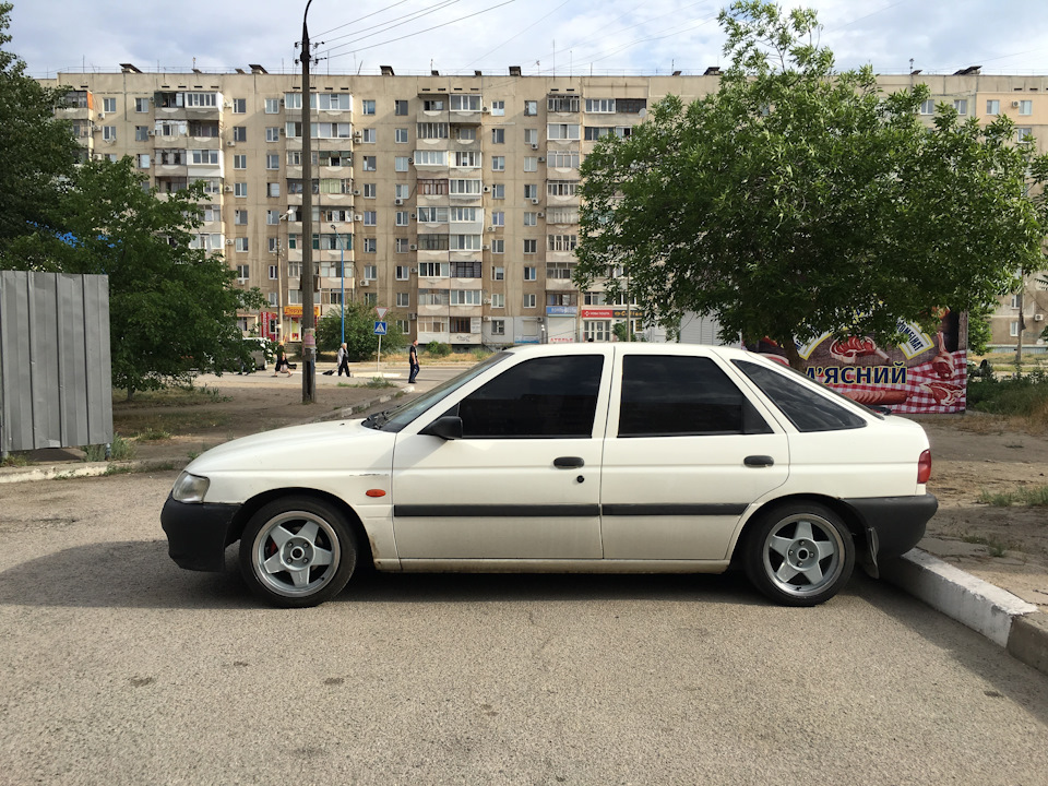 Гей, кицьки, у мене нові диски 😂 2