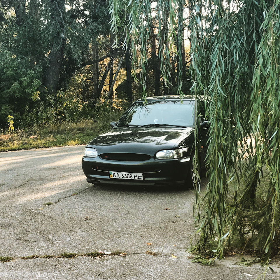 Політ відмінний) 1