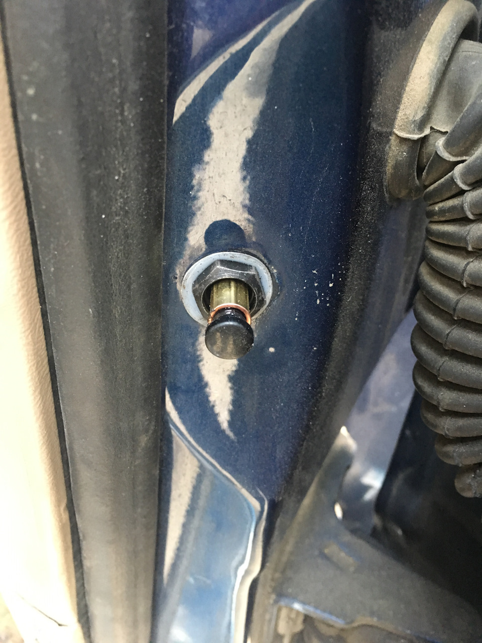 Весняне загострення 5