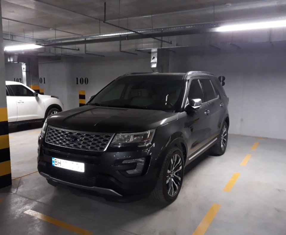 Пташка вилетіла з гнізда 1