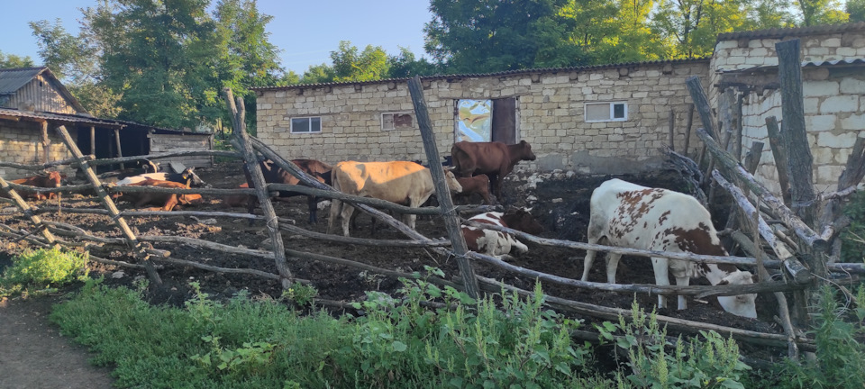 Виїзди на природу 1