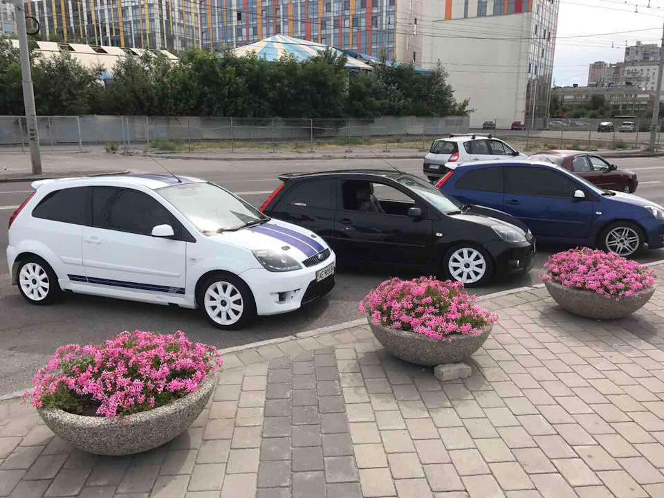 meet up fiesta st Dnepr 2017 1