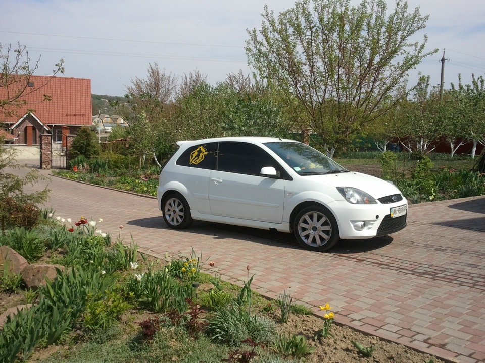 ST аматорські фотки) 1