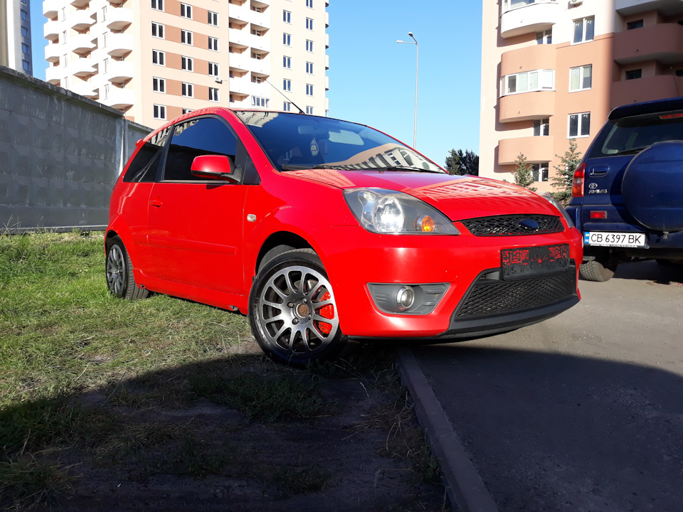 Продаю свою бестію 4