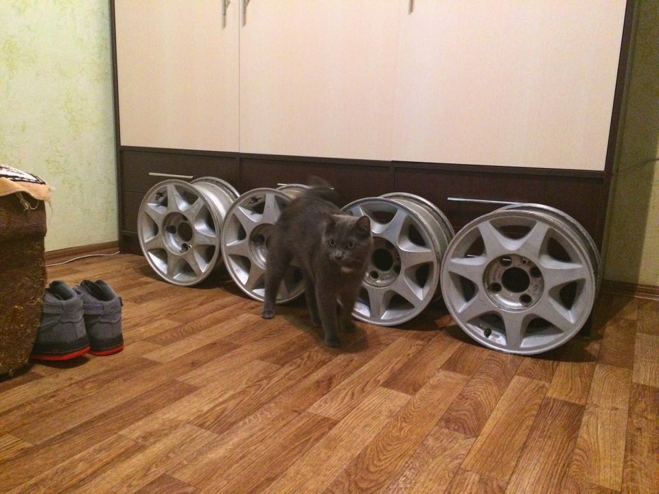 Диски 1