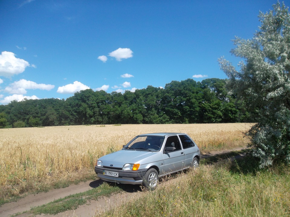 Кілька фоток 3