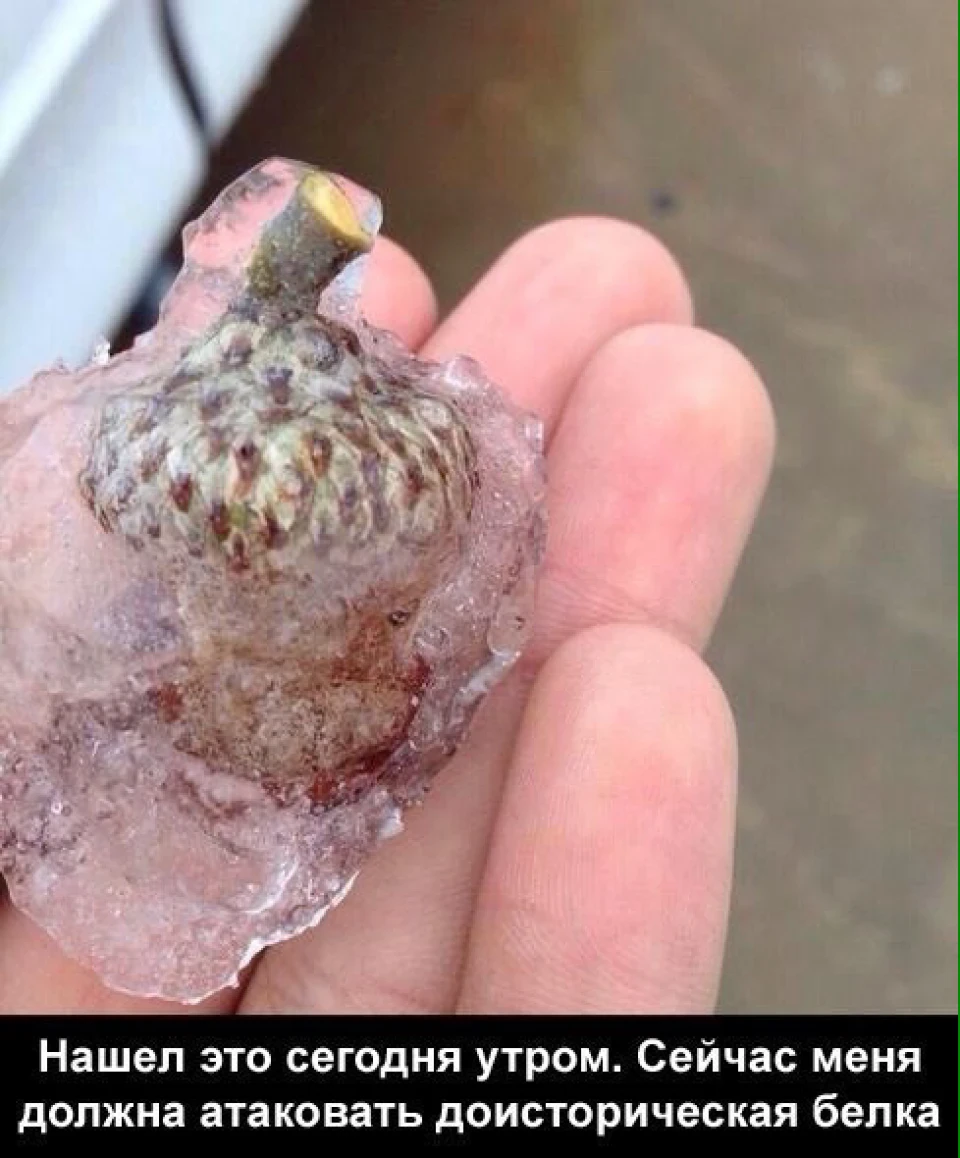 Антигель