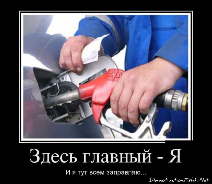 Не перестаєш дивуватися! 1