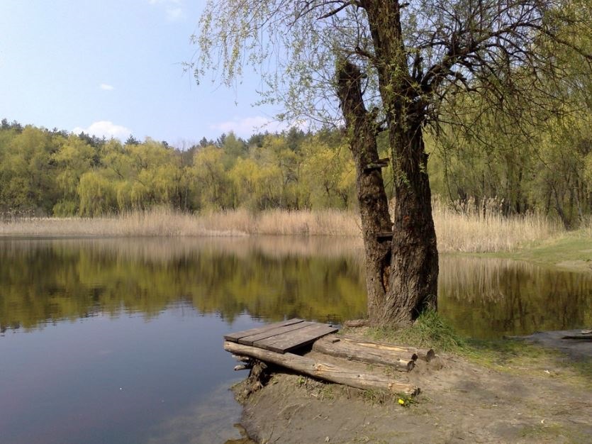 …ой-ой-ой… 1