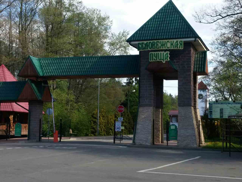 Коли забув взяти з собою круїз-контроль: травневі покотушки до Білорусі 5