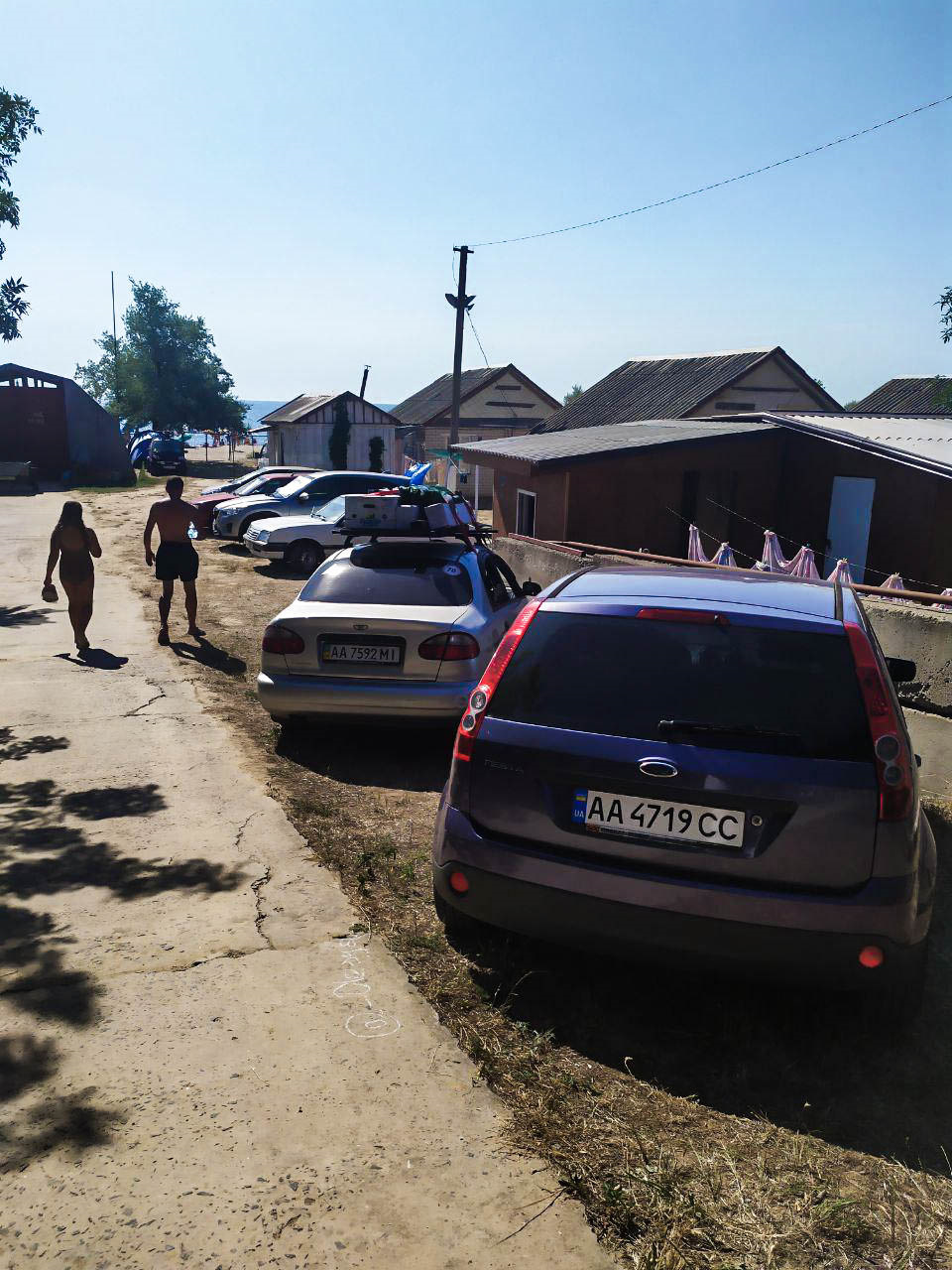 Грибування 5