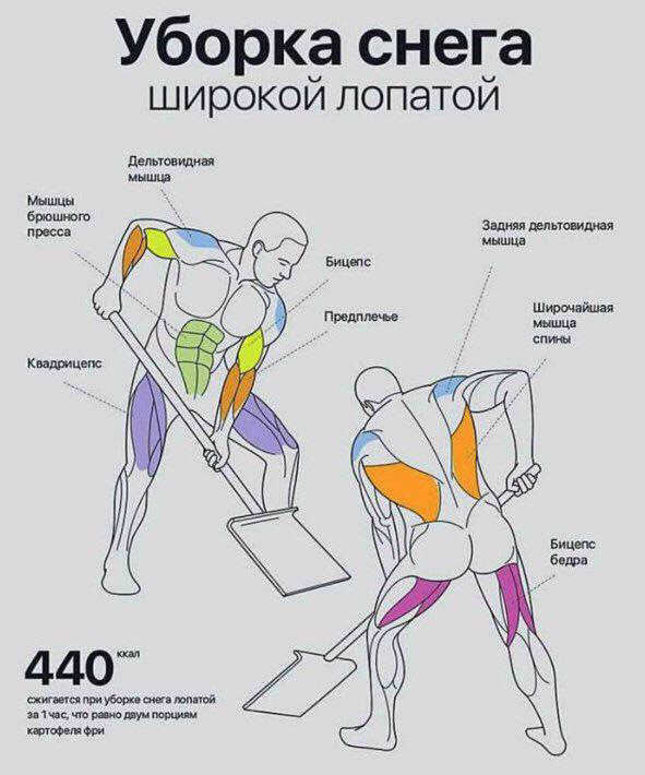 Проліски або прибирання снігу широкою лопатою 5