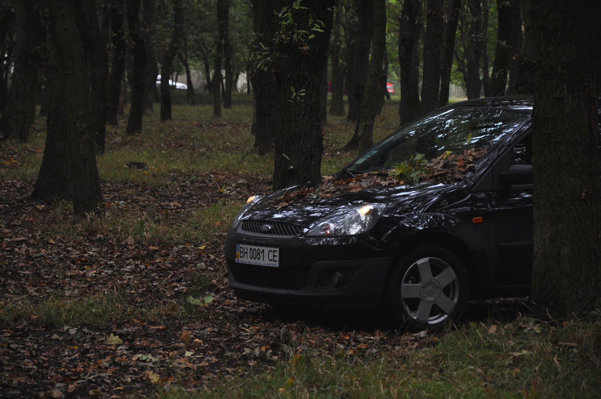 Autumn … 5