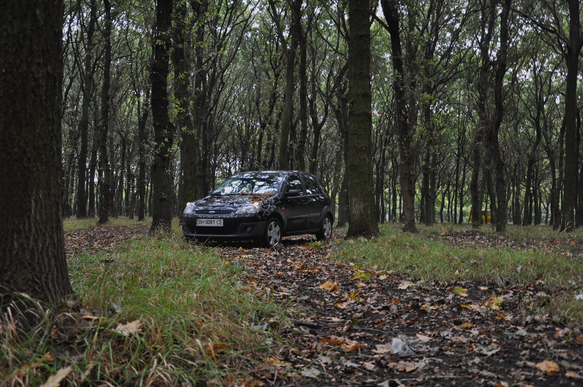 Autumn … 4