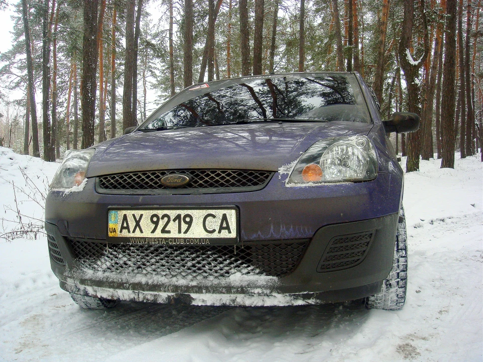 Фофік, дефки, ліс :)