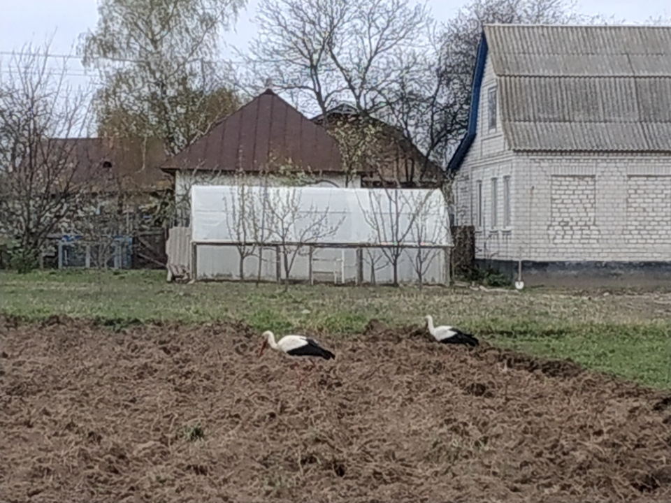 Ні про що) 3
