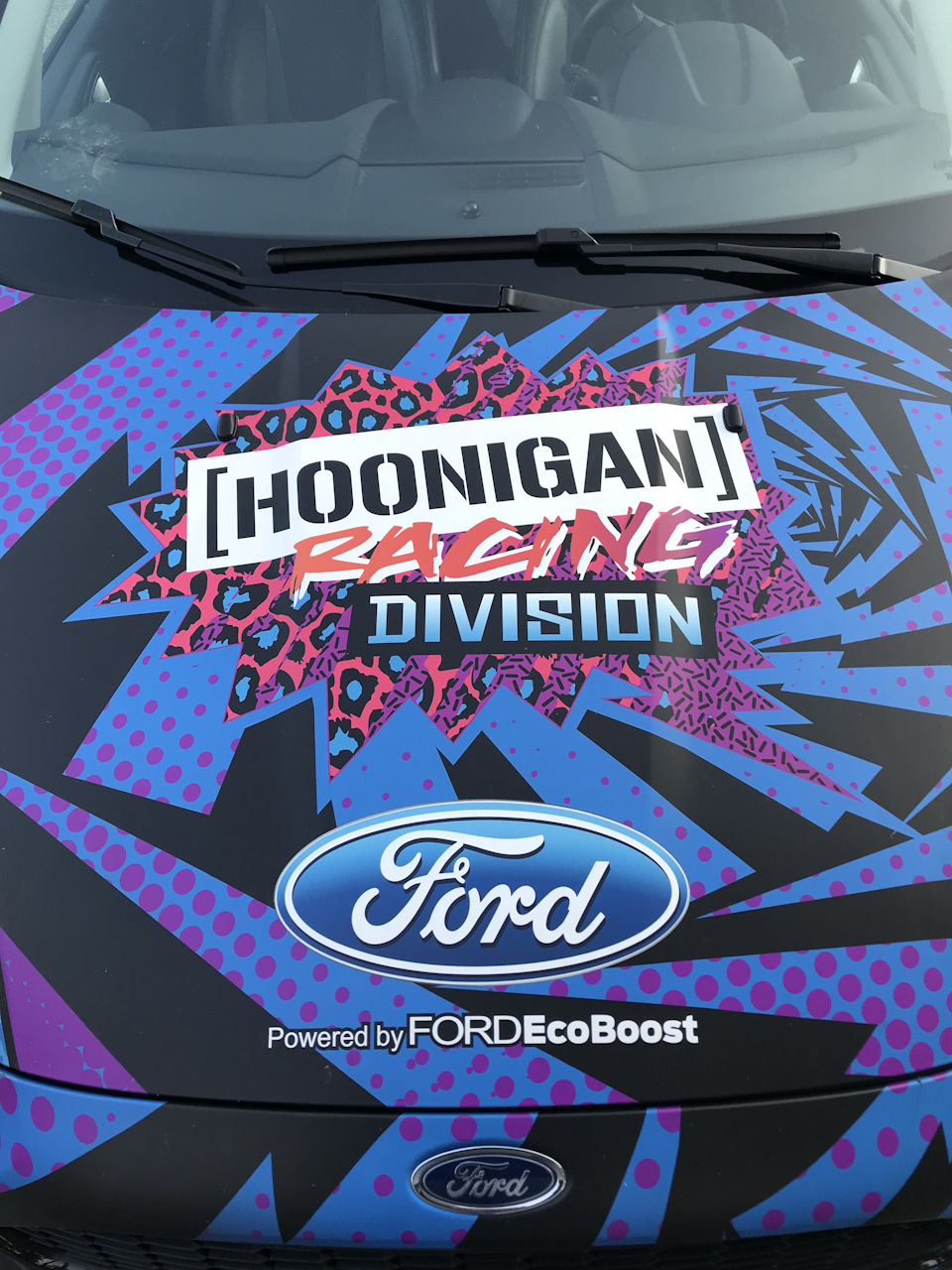 Fiesta Hoonigan Ken Block 5