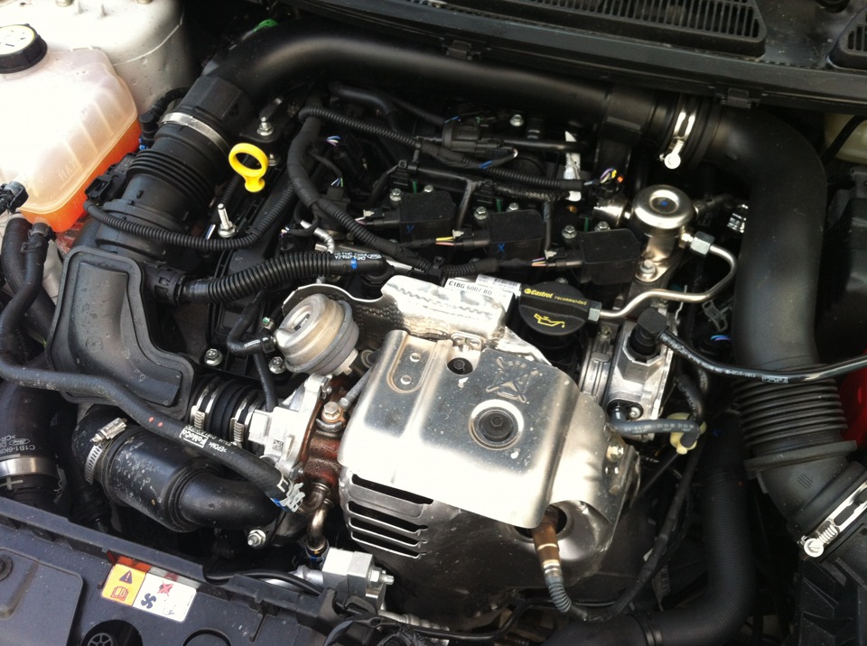 Рух EcoBoost, фото в студію! 1