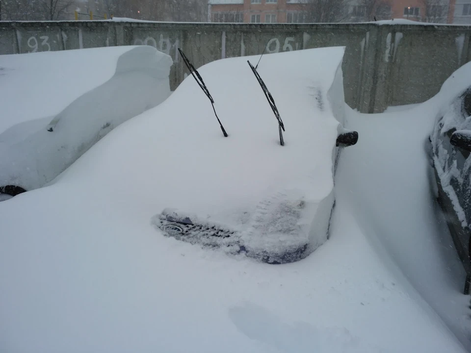 До весни не турбувати))