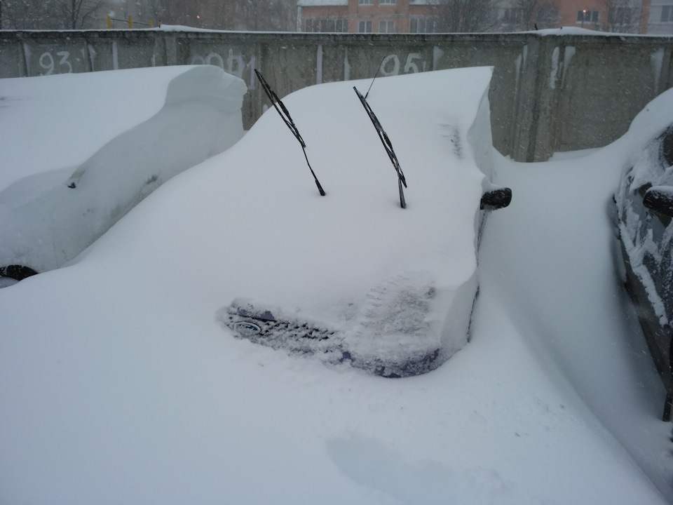 До весни не турбувати)) 1