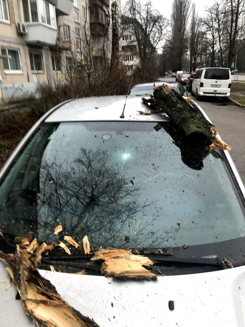 Гілка впала на машину 1