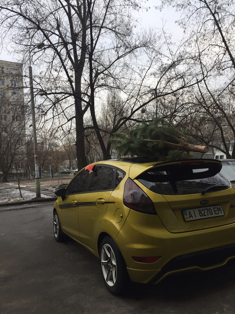 Новорічний настрій 1