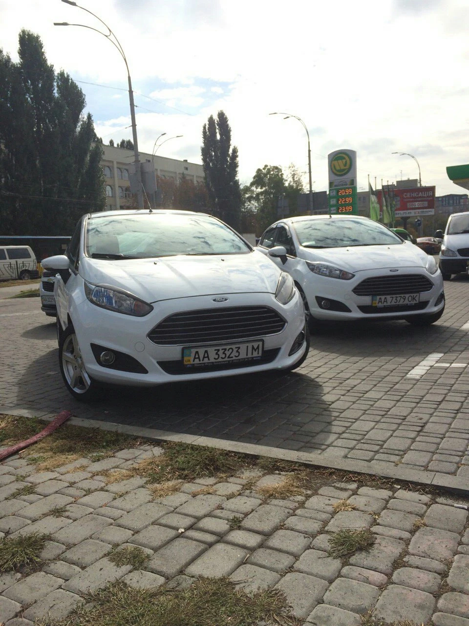 Невелика зустріч і покотушки з фієста-братом)