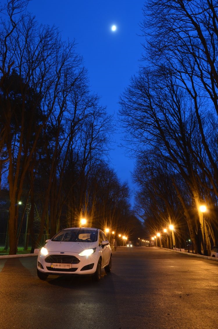 Перший фотосет - брудний, але приємний :) 5