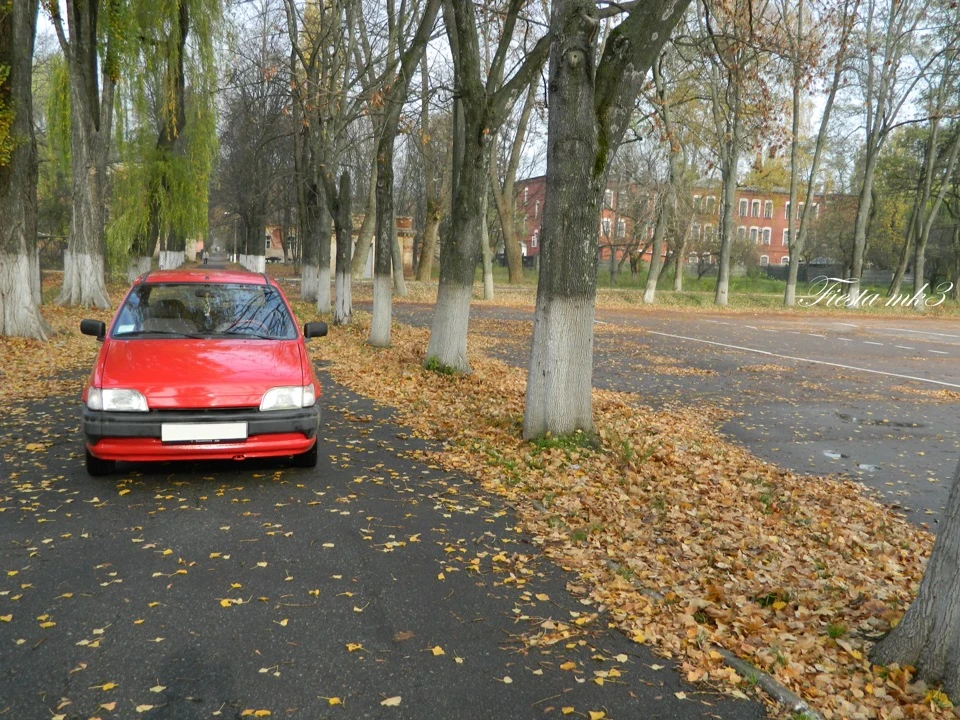 Осінь, не відставатиму