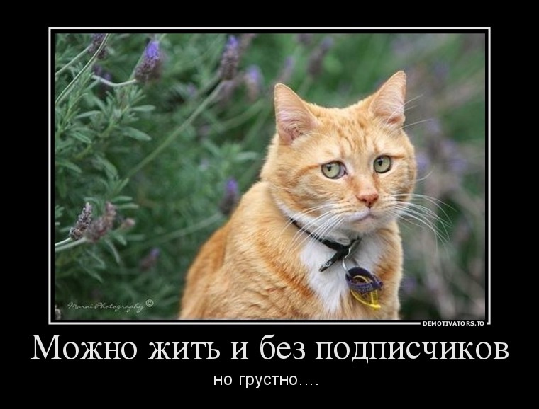 Відписам присвячується 1