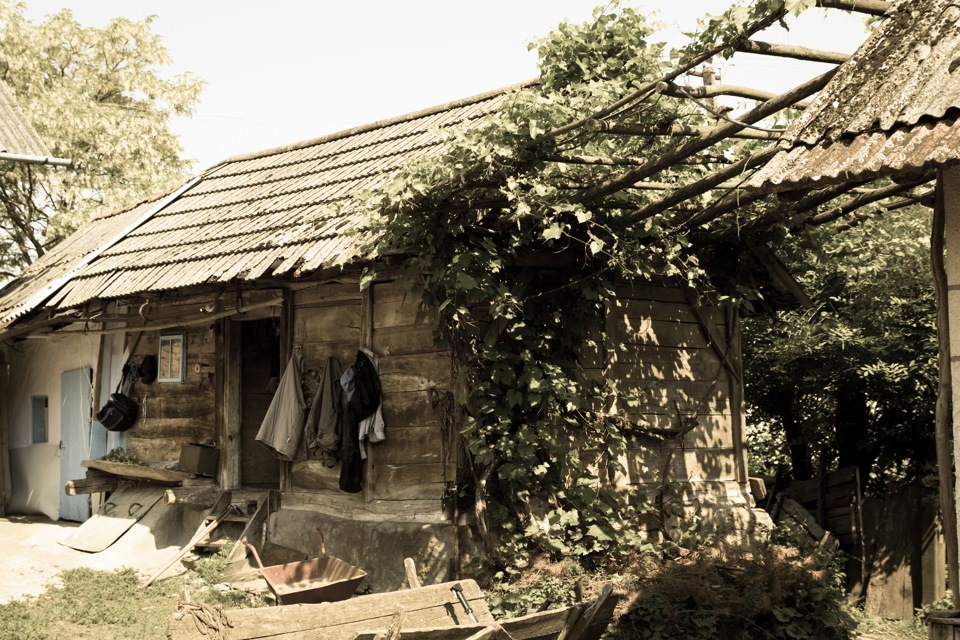 Фото вихідного дня 1