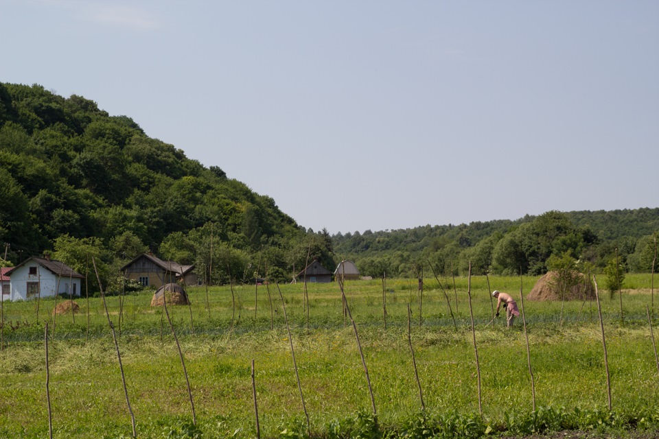 Фото вихідного дня 5